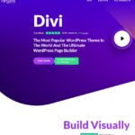 Divi – Ultimate WordPress Theme & Visual Page Builder