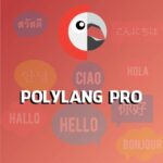Polylang Pro: Plugin đa ngôn ngữ dễ dùng